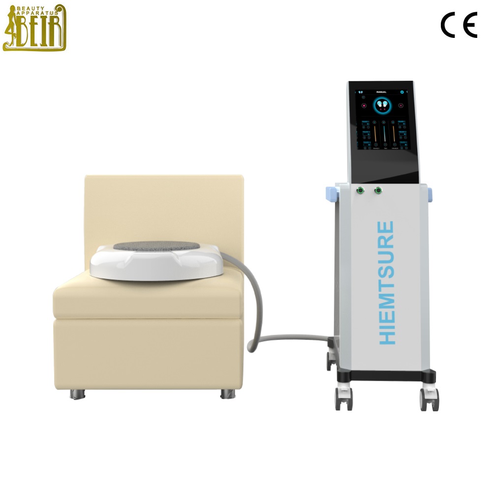 Portable Emsvela Pelvic Floor Musdle Stimulation Treatment Promote Postpartum Repair Muscle